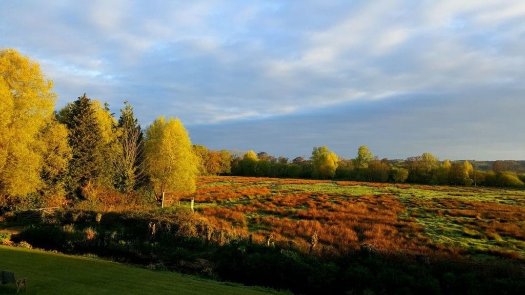 Dorset streams Chalkstream fly fishing, Dry Fly Fishing, Alex Jardine, Aardvark McLeod Dry Fly Fishing