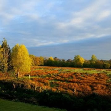 Dorset streams Chalkstream fly fishing, Dry Fly Fishing, Alex Jardine, Aardvark McLeod Dry Fly Fishing