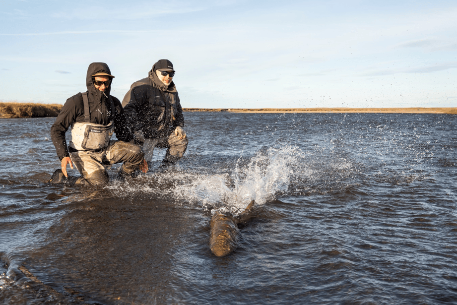 Estancia Maria Behety, Sea Trout, Rio Grande, Aardvark McLeod