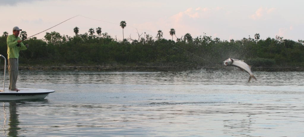 Jardines Avalon 1, Cayo Largo, Fly fishing Cuba, Avalon, Aardvark McLeod