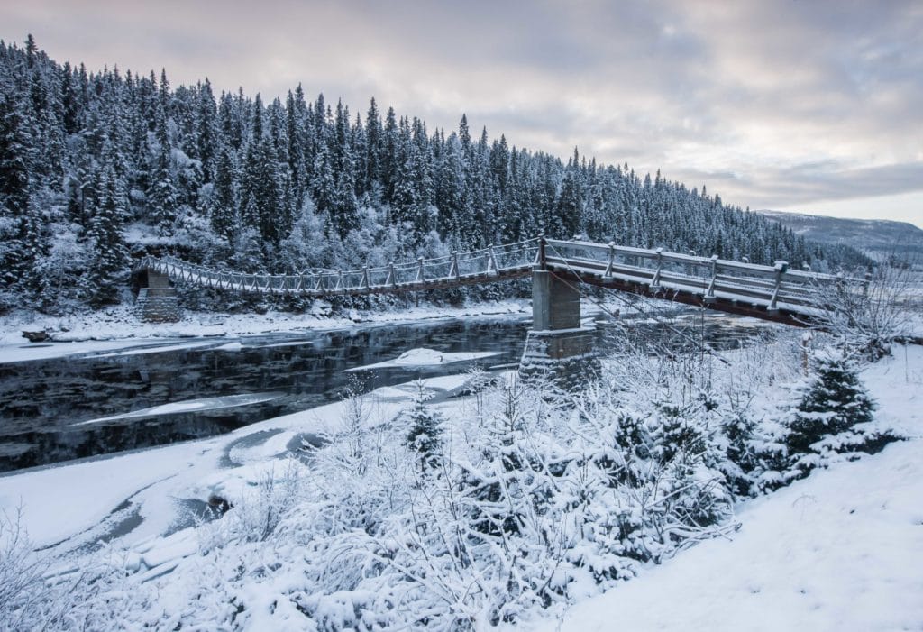 Gaula River Norway, Norwegian Fly Fishers Club Norway, NFC Norway, Atlantic salmon Norway, Salmon Fly Fishing Norway