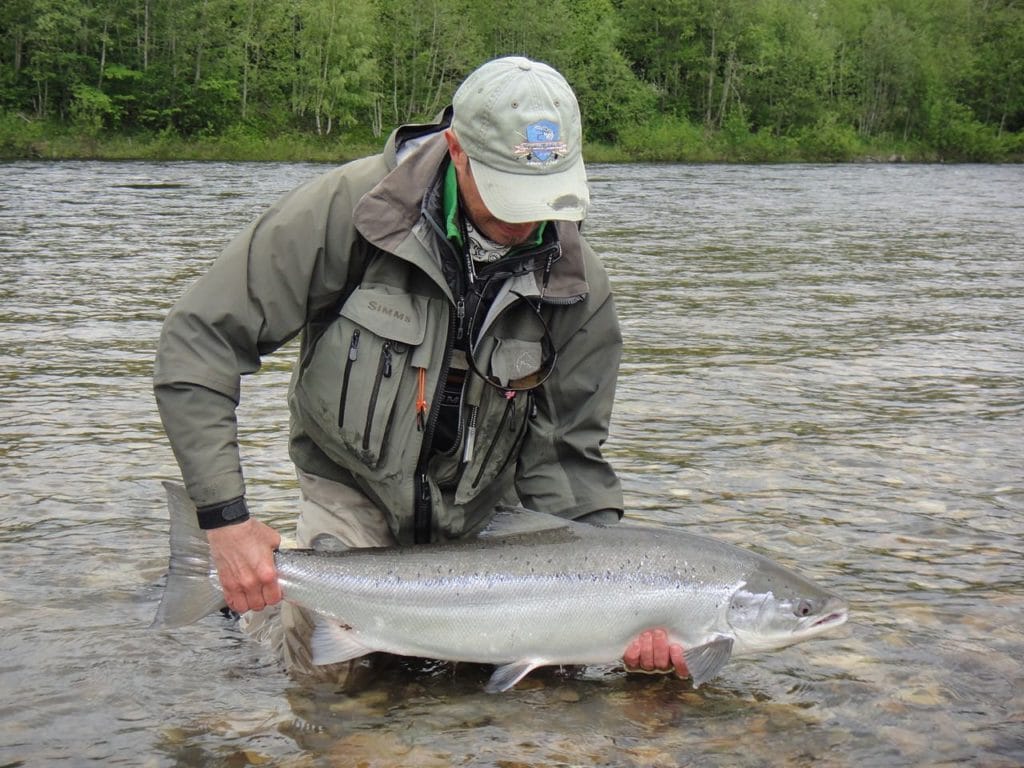 Gaula River, Norwegian Flyfishers Club, NFC, Norway, Atlantic salmon