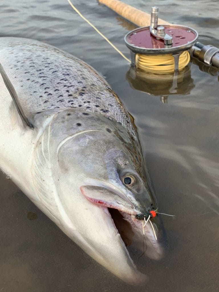 Kau tapen lodge, sea trout fishing, tierra del fuego, rio grande, rio grande sea trout, nervous waters, aardvark mcleod, rio menendez