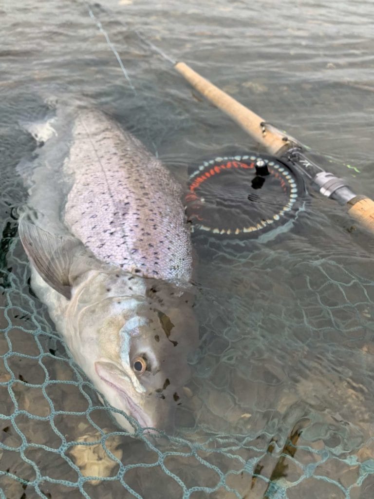 Kau tapen lodge, sea trout fishing, tierra del fuego, rio grande, rio grande sea trout, nervous waters, aardvark mcleod, rio menendez