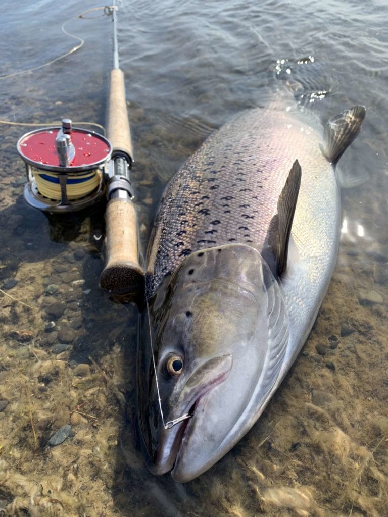 Kau tapen lodge, sea trout fishing, tierra del fuego, rio grande, rio grande sea trout, nervous waters, aardvark mcleod, rio menendez