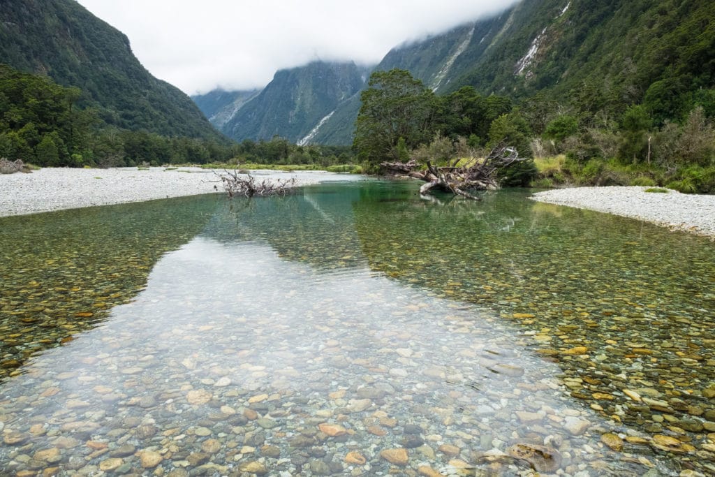 New Zealand, Trout Fishing, Aardvark McLeod