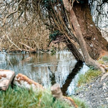 Westfair Beat, Mayfly, chalkstream, river test, river anton, river avon,