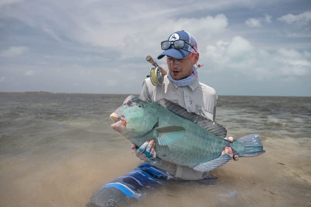 Farquhar, bumphead parrotfish, Seychelles, Aardvark McLeod