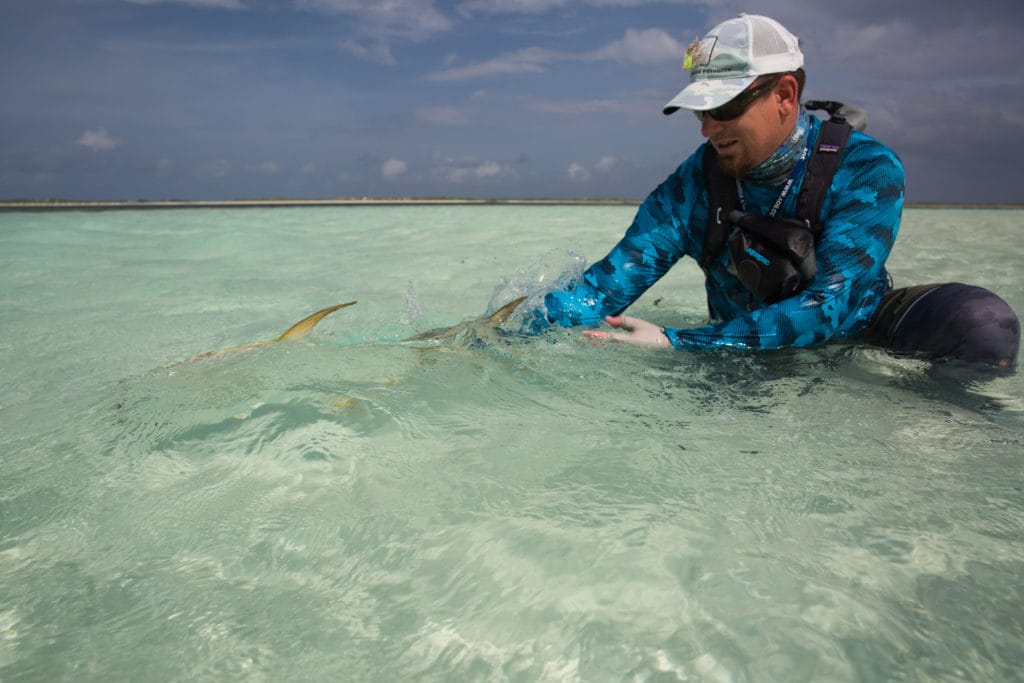 Permit, Permit fishing, Saltwater fly fishing, Aardvark McLeod