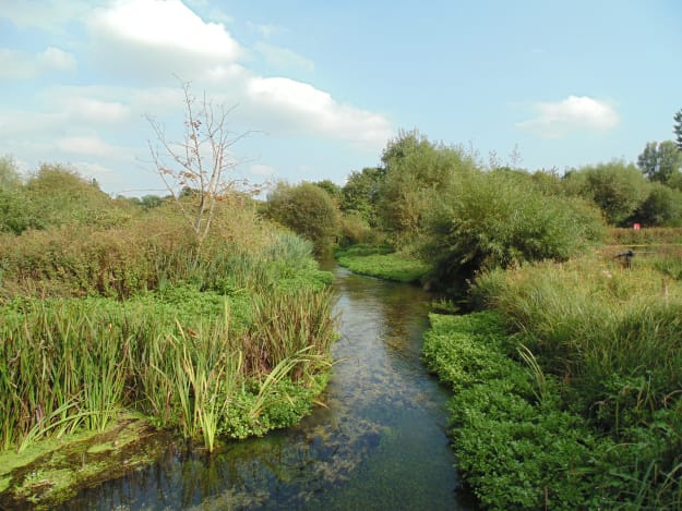 River Anton, Aardvark McLeod, trout fishing, 