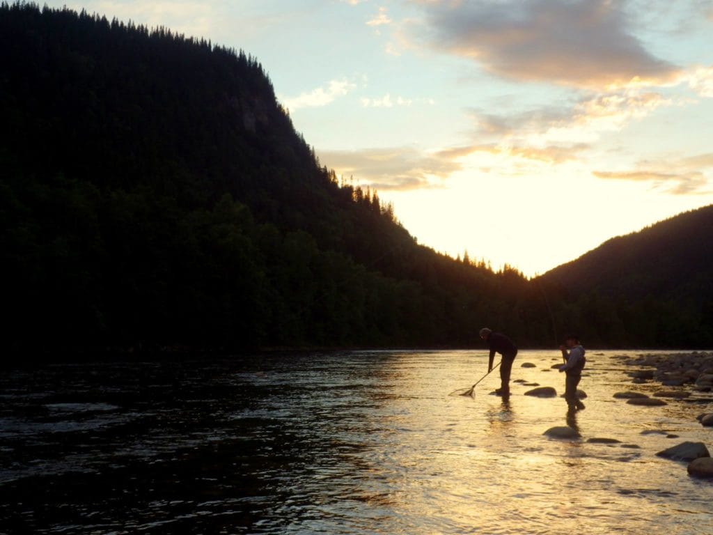 Gaula River Norway, Norwegian Fly Fishers Club Norway, NFC Norway, Atlantic salmon Norway, Salmon Fly Fishing Norway