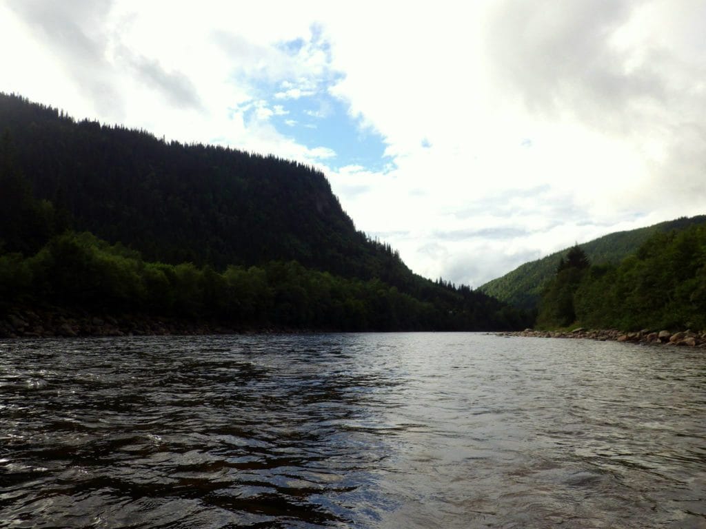 Gaula River Norway, Norwegian Fly Fishers Club Norway, NFC Norway, Atlantic salmon Norway, Salmon Fly Fishing Norway