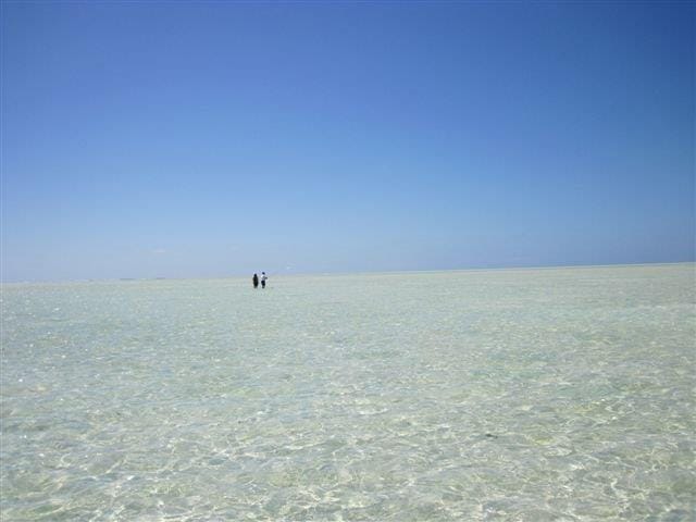 Alphonse Island Seychelles, fishing, milkfish, Aardvark McLeod, Charlotte Chilcott