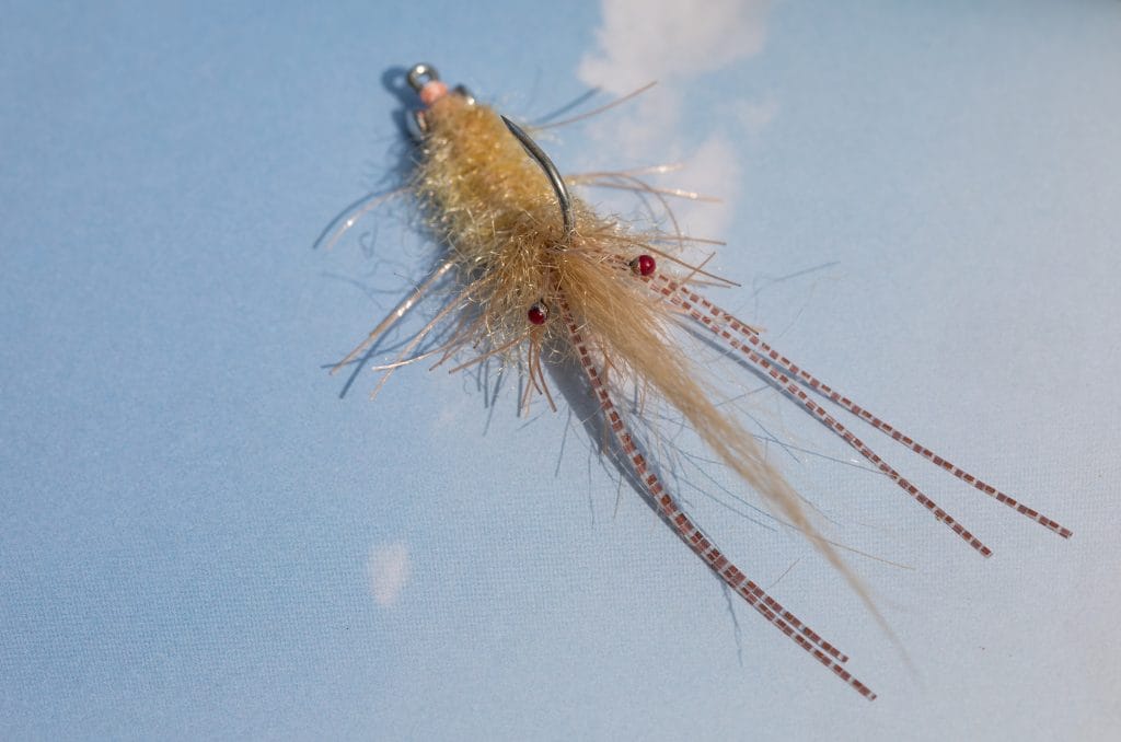 Olly Thompson, Fly Tying, Pemit Flies, Permit, Aardvark McLeod