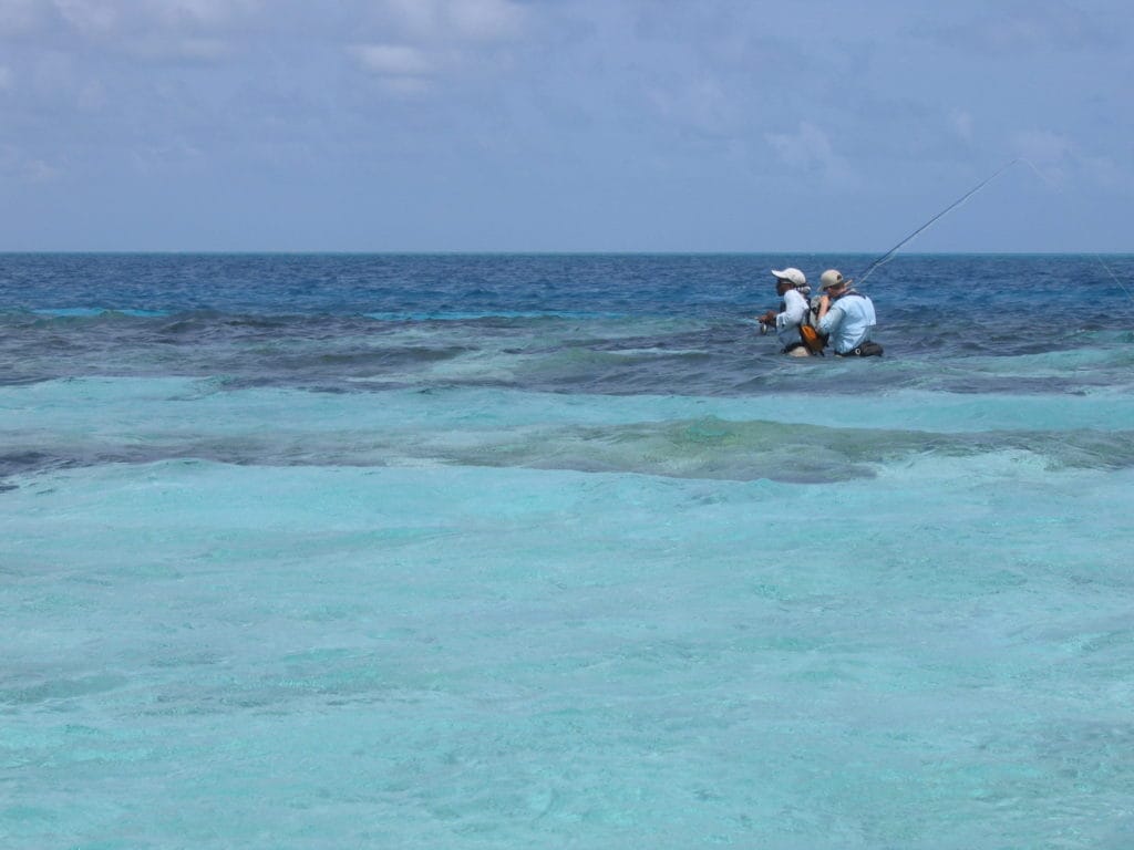 Giant Trevally, GT - A fly Fishers Guide to Goiant Trevally