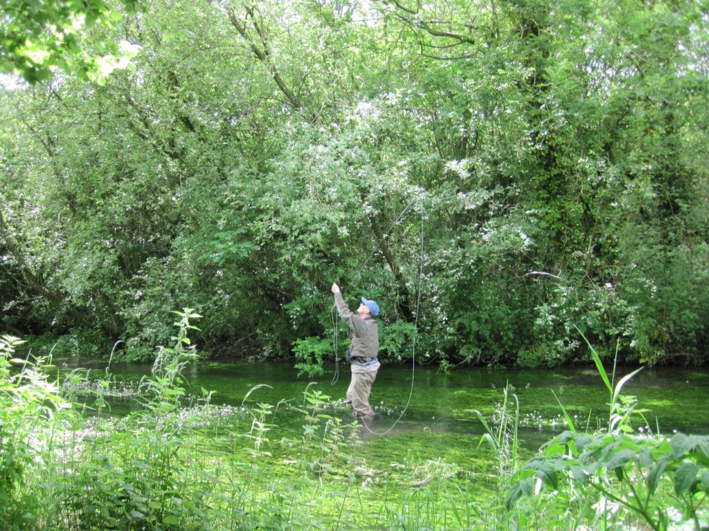 River Lambourn, brown trout, trout fishing, grayling, River Kennet, Chalkstream fishing, Aardvark McLeod