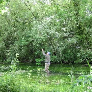 River Lambourn, brown trout, trout fishing, grayling, River Kennet, Chalkstream fishing, Aardvark McLeod