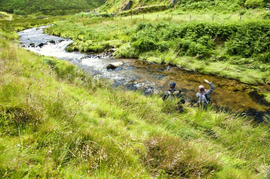 Trout Fishing, Aardvark McLeod