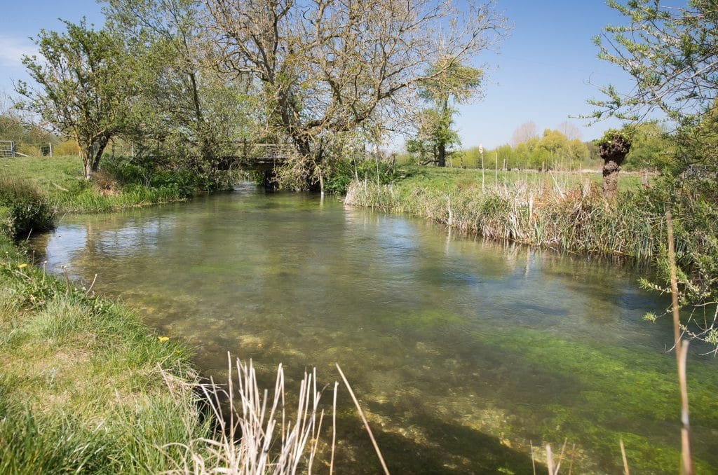 Westfair, River Anton, Aardvark McLeod