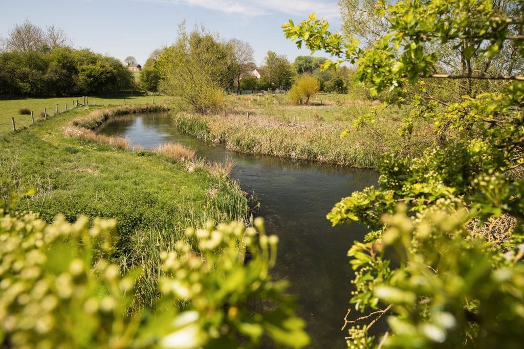 Westfair, River Anton, Aardvark McLeod