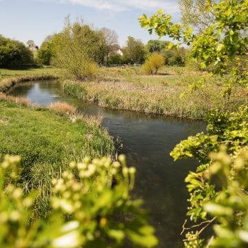 Westfair, River Anton, Aardvark McLeod
