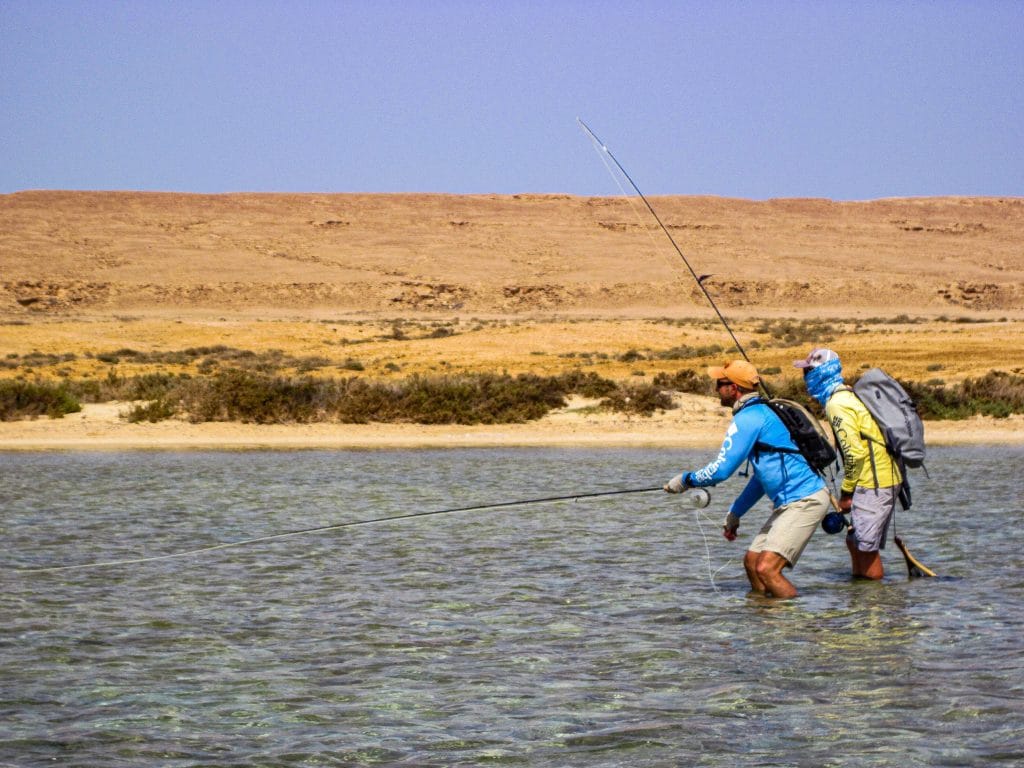 Pulling the Trigger - Catching Triggerfish on the Fly - Aardvark Mcleod