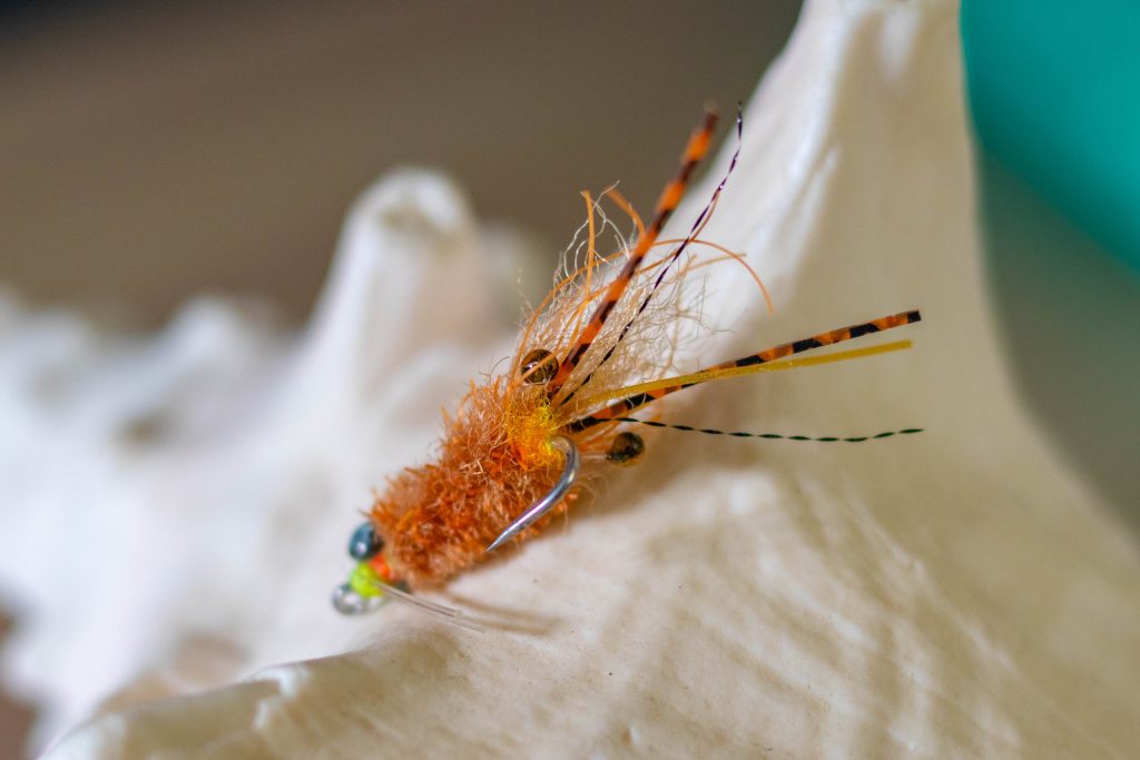 Mantis shrimp fly, Aardvark McLeod