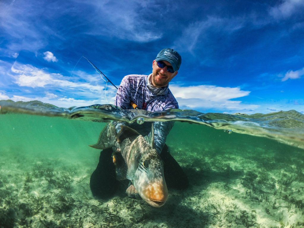 Triggerfish, Providence Atoll, Seychelles, Aardvark McLeod