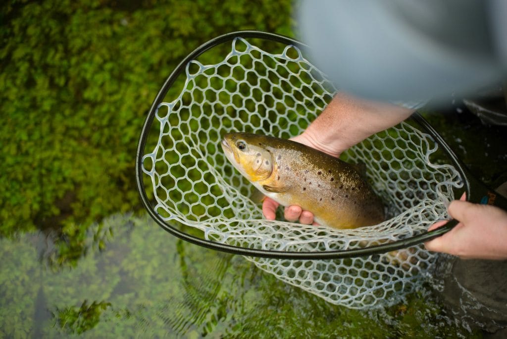 Chalkstream Fishing, River Anton, Aardvark McLeod
