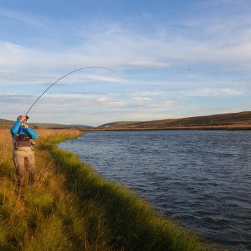 Laxardal, large brown trout, Iceland, Aardvark McLeod