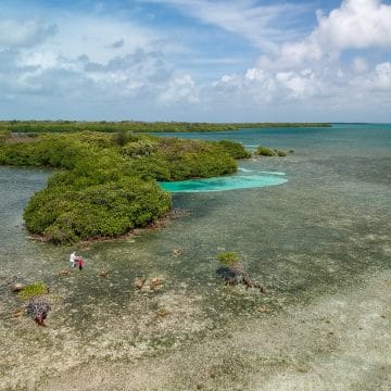 Turneffe Flats Lodge, Belize, Aardvark McLeod