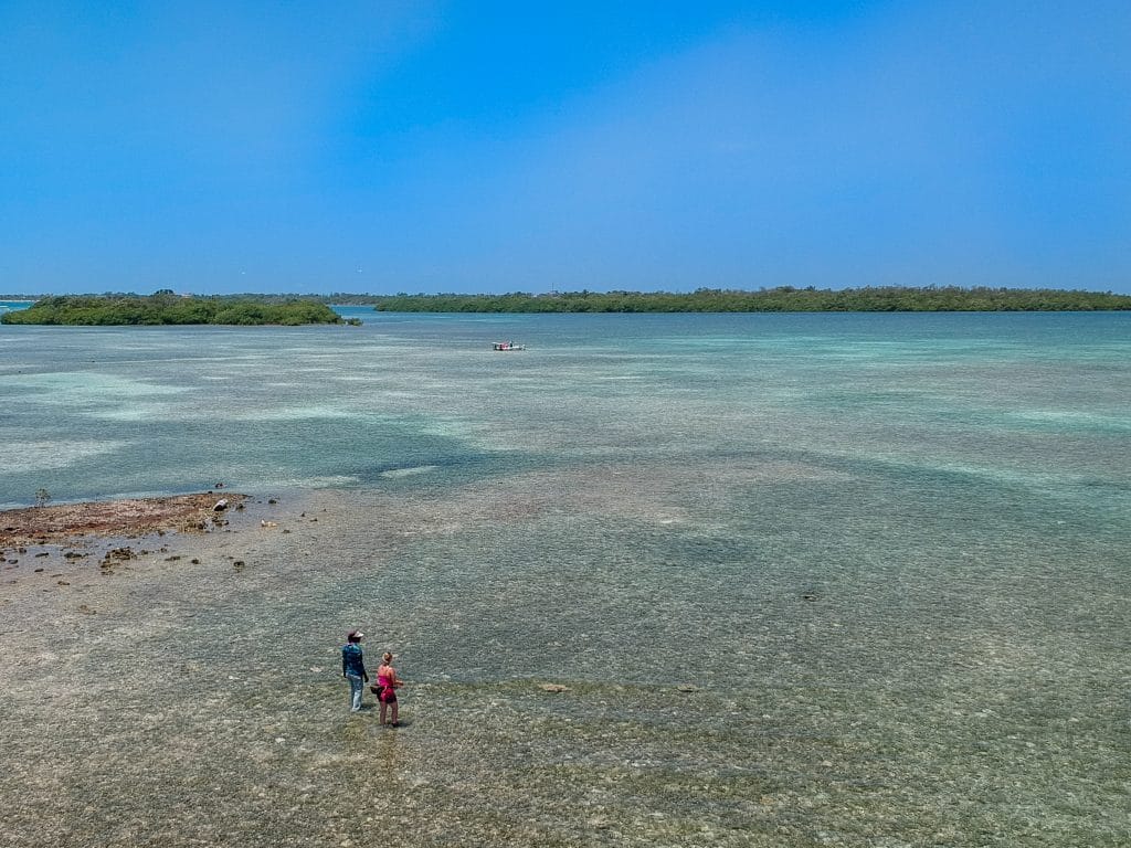 Turneffe Flats Lodge, Belize, Aardvark McLeod