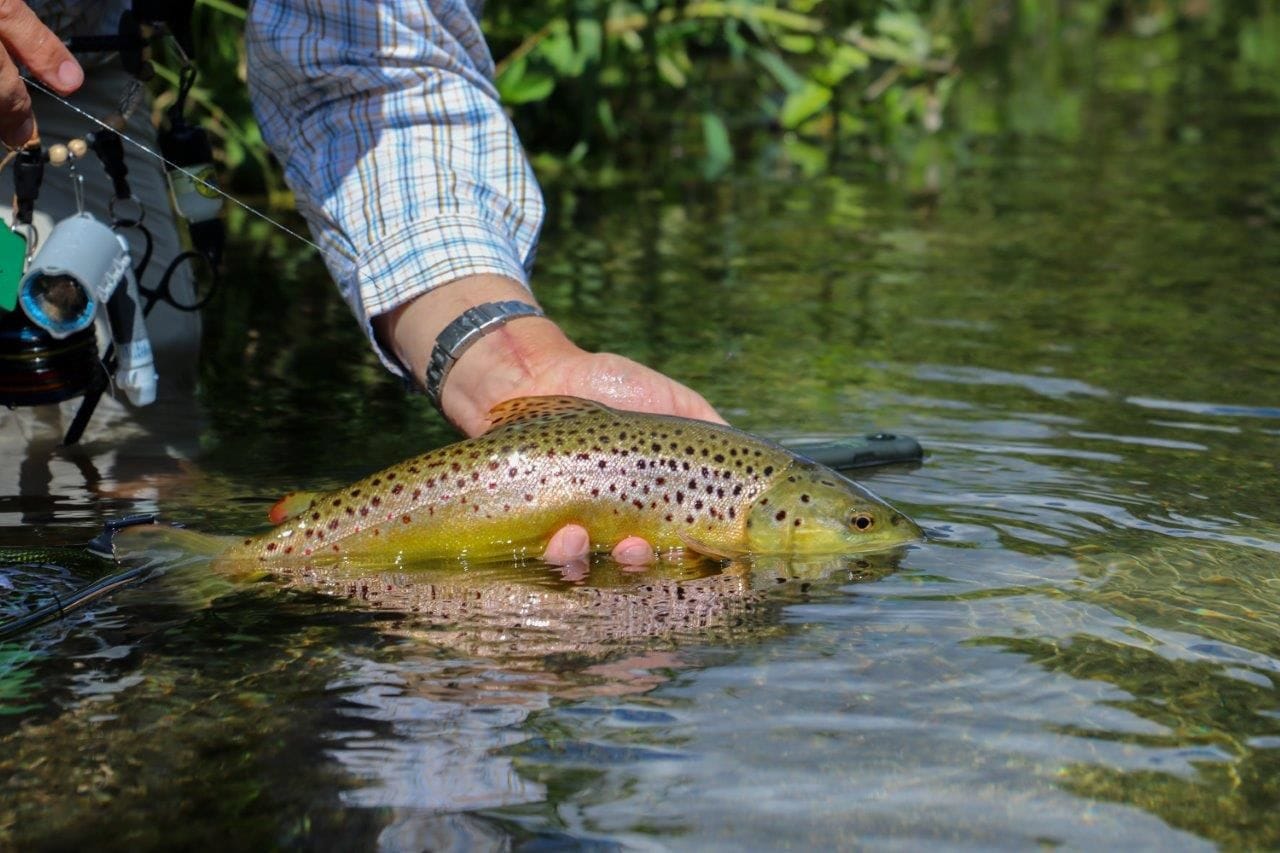 River Dever - Chalkstream Fly Fishing - Aardvark Mcleod