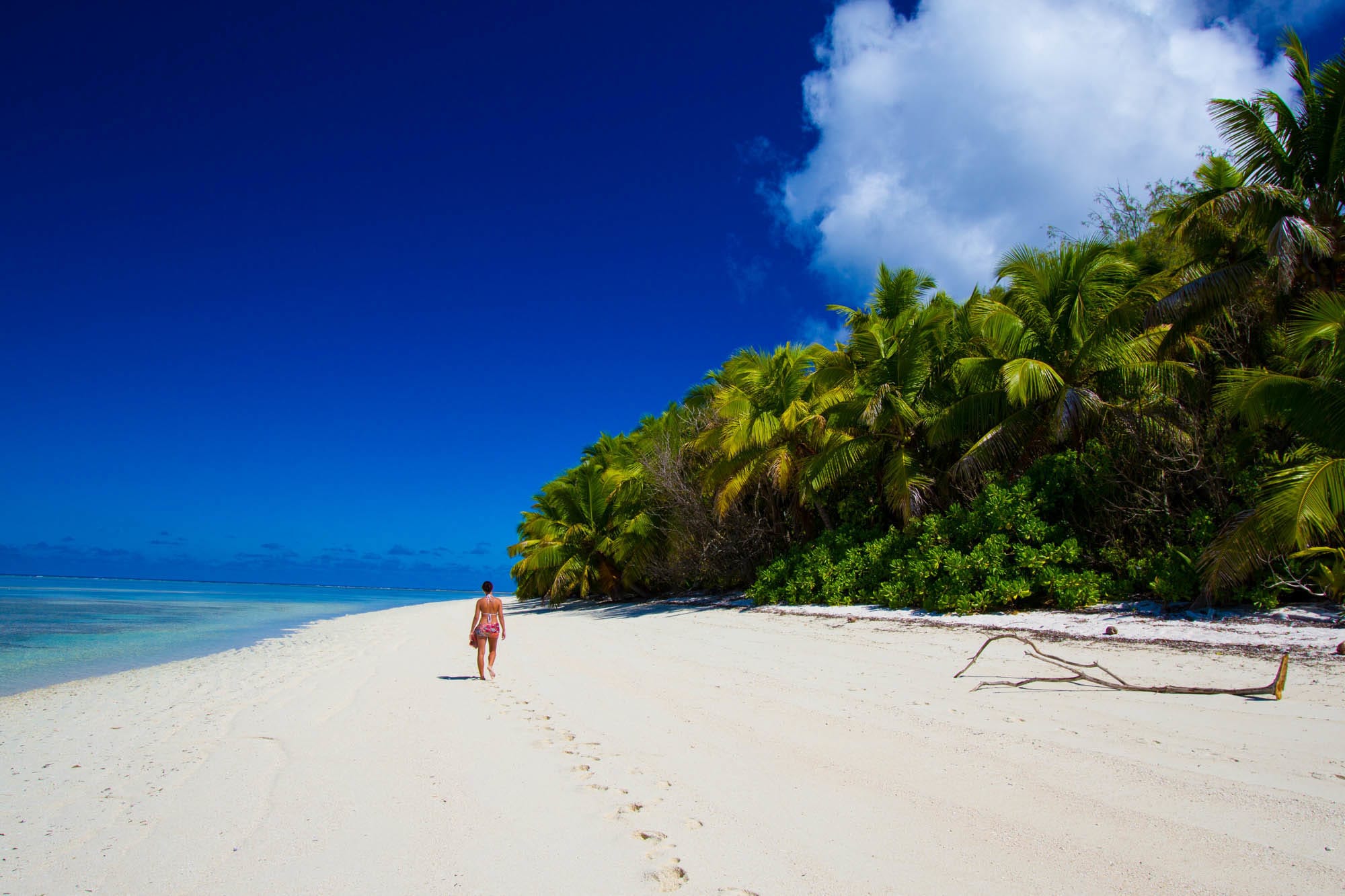 Alphonse Island Seychelles Aardvark McLeod family fishing holiday