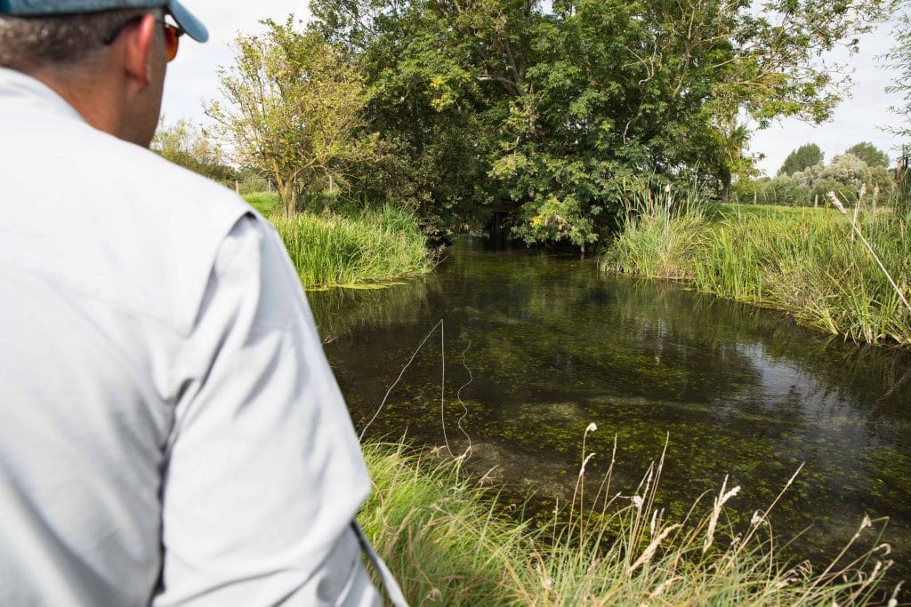 Chalkstream Fishing, River Anton, Aardvark McLeod