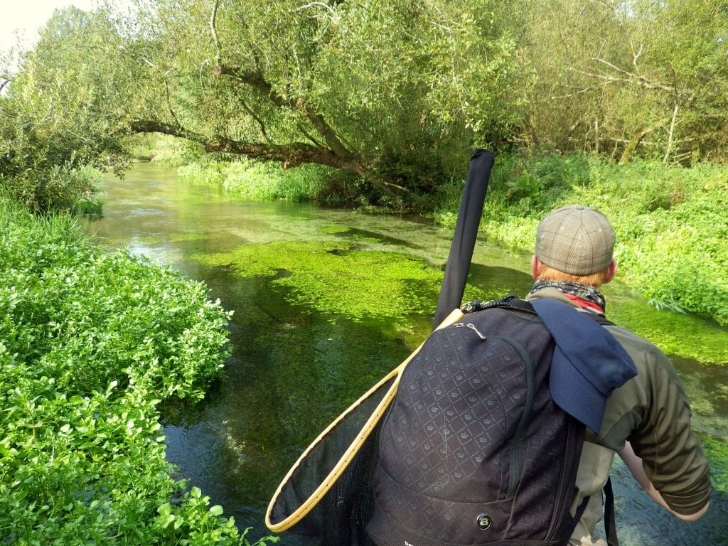 Chalkstream Fishing, River Anton, Aardvark McLeod