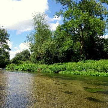 Chalkstream Fishing, River Anton, Aardvark McLeod