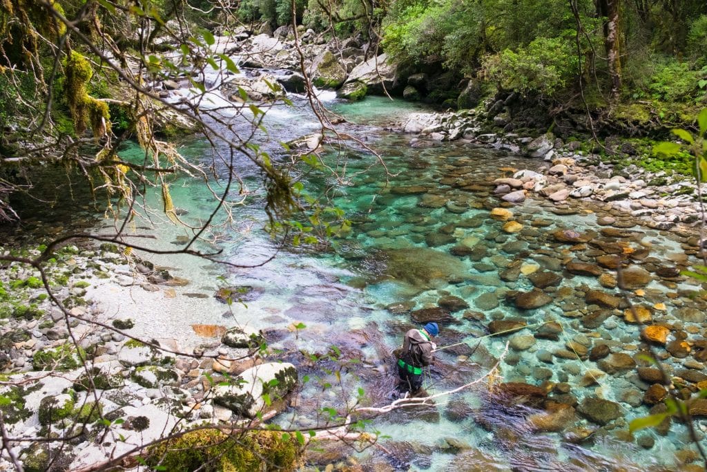 New Zealand, Trout Fishing, Aardvark McLeod