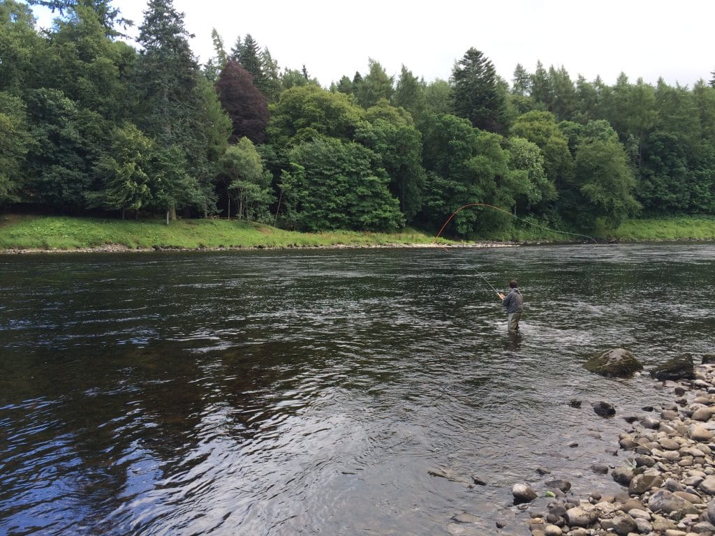 Summerhill, Stobhall Beat, River Tay, Scotland, Aardvark McLeod