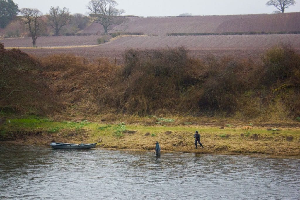 River Tweed Salmon Fishing, Chasing Fins Salmon Fishing, Scotland Salmon Fishing, Aardvark McLeod Salmon Fishing