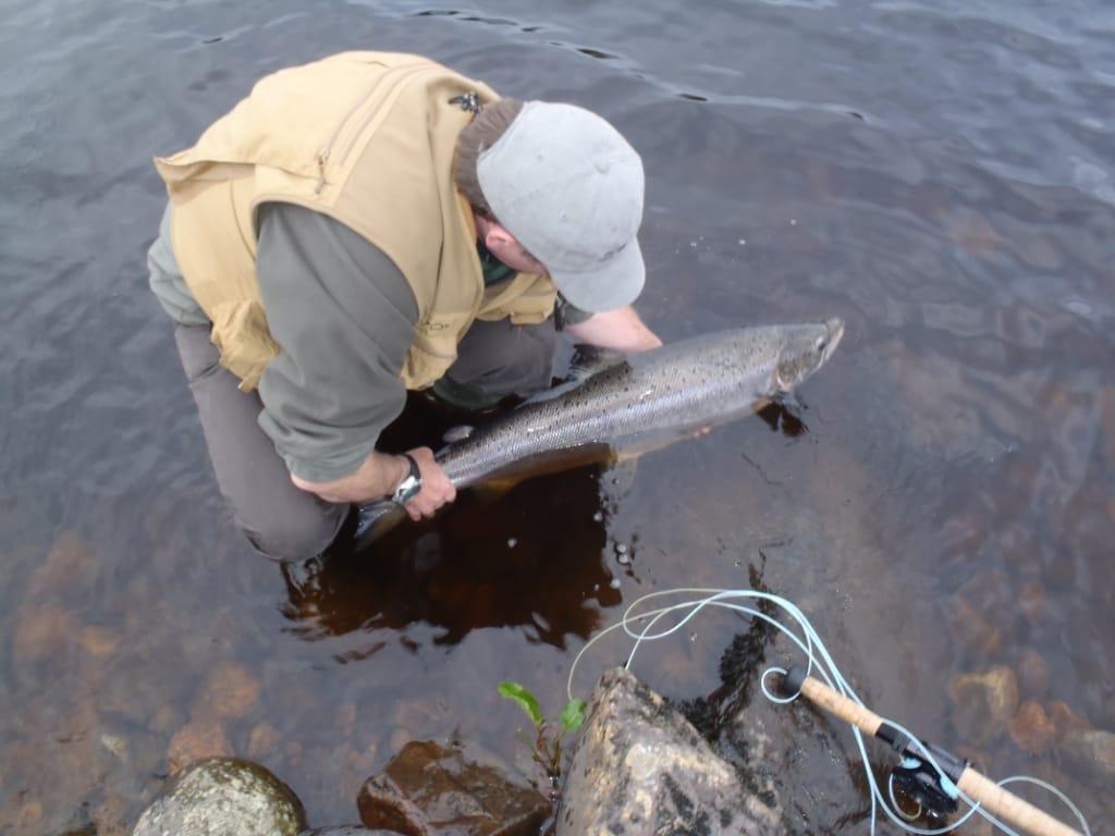 Girnal, River Brora, Aardvark McLeod