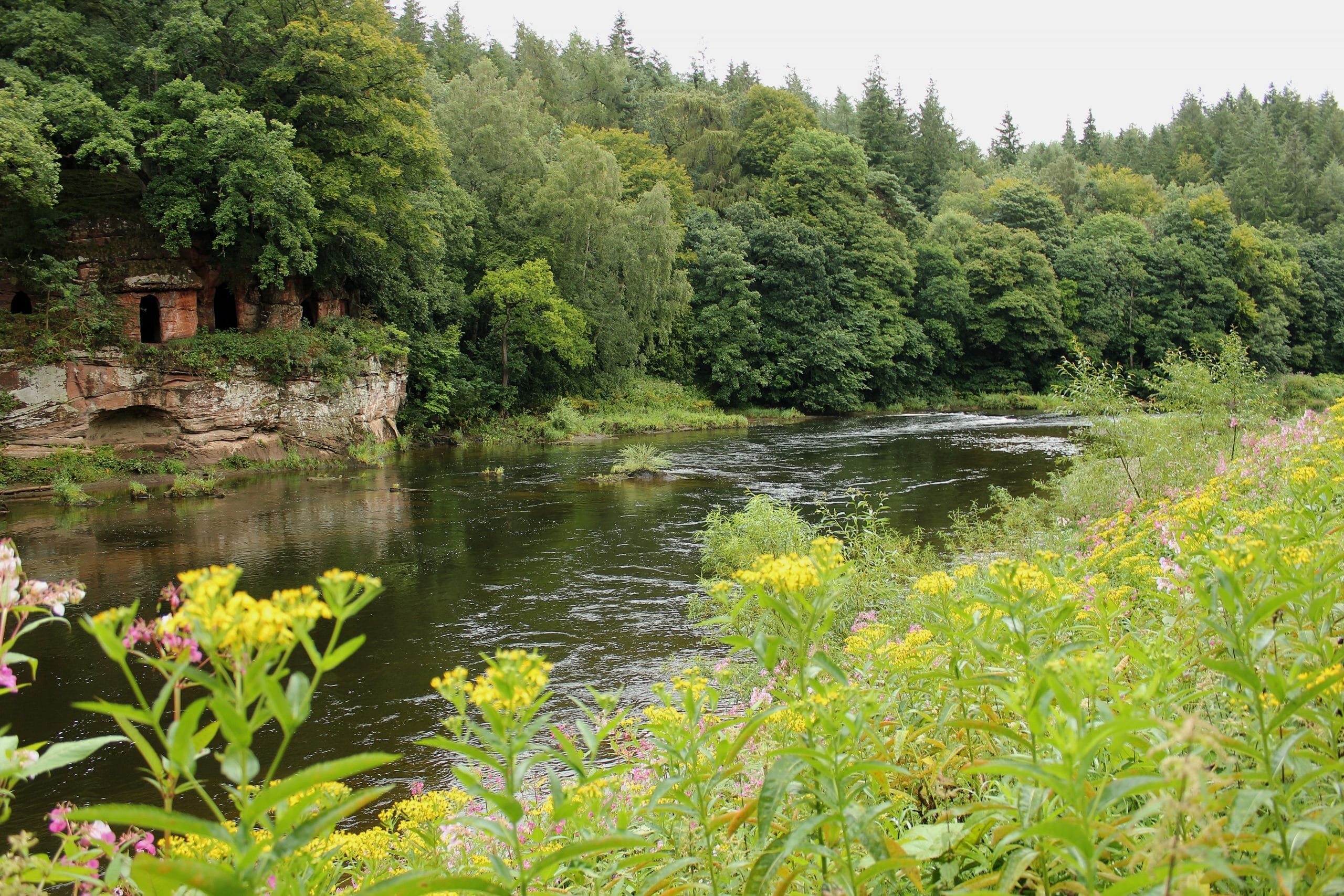 River Eden Cumbria Fly Fishing, Tufton Arms Cumbria, Cumbria Salmon Fly Fishing, Cumbria Trout Fly fishing