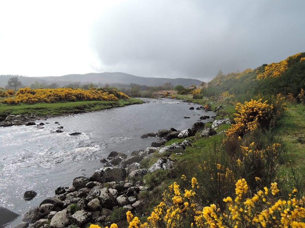 Girnal, River Brora, Aardvark McLeod