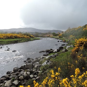 Girnal, River Brora, Aardvark McLeod