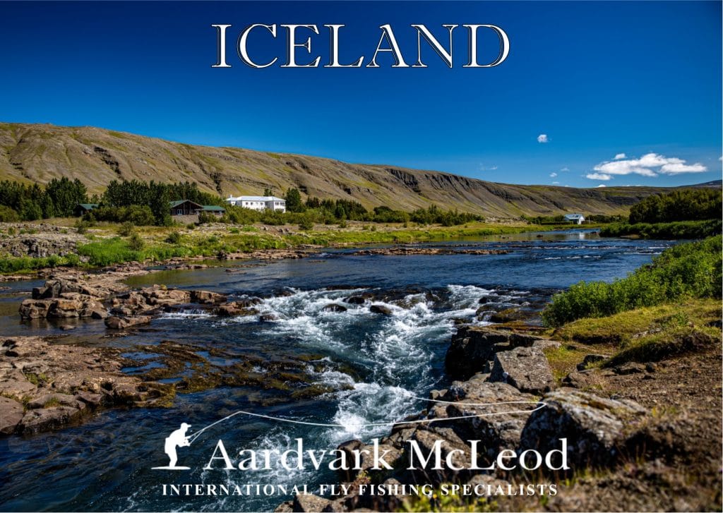 Aardvark McLeod Iceland Fly Fishing publication 2021