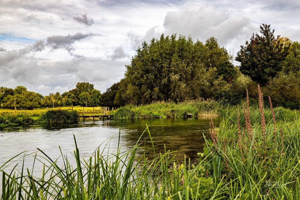 Testcombe River Test, Chalkstream Fly Fishing, Aardvark McLeod