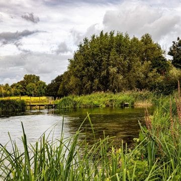 Testcombe River Test, Chalkstream Fly Fishing, Aardvark McLeod