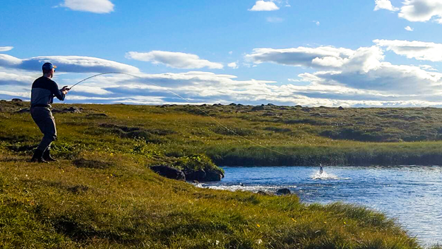 Deildara, Iceland, Aardvark MCLeod