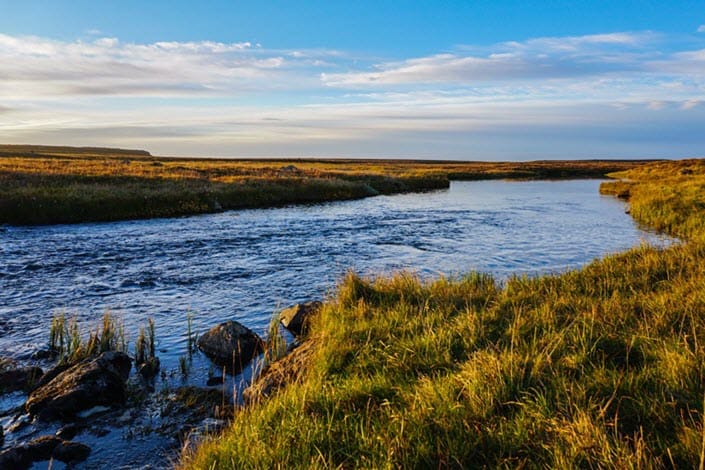 Deildara, Iceland, Aardvark MCLeod