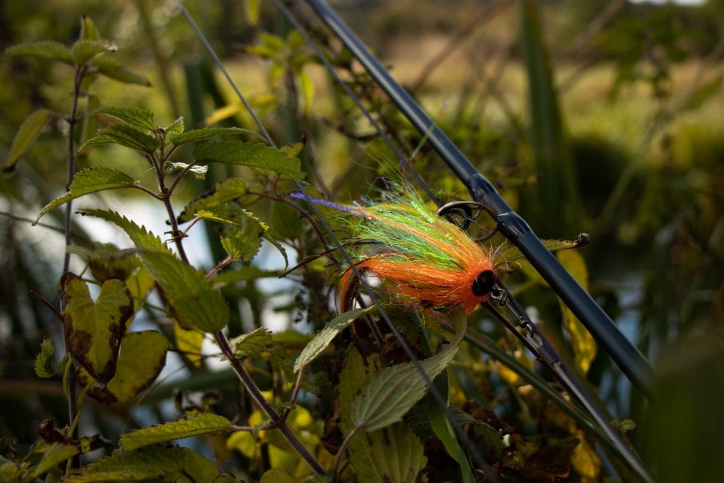 UK fishing, chalkstream, pike, pike fishing, UK fishing guides, River Test